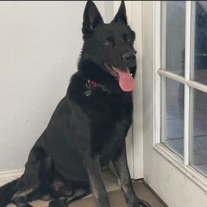 Meet your Posher, Jackie